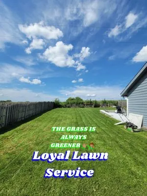 Loyal Lawn Services Logo