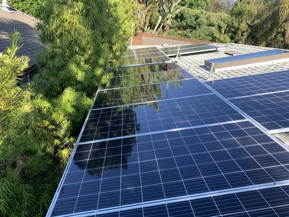 Expert lawn care service in San Fernando, CA - Loyal To The Soil