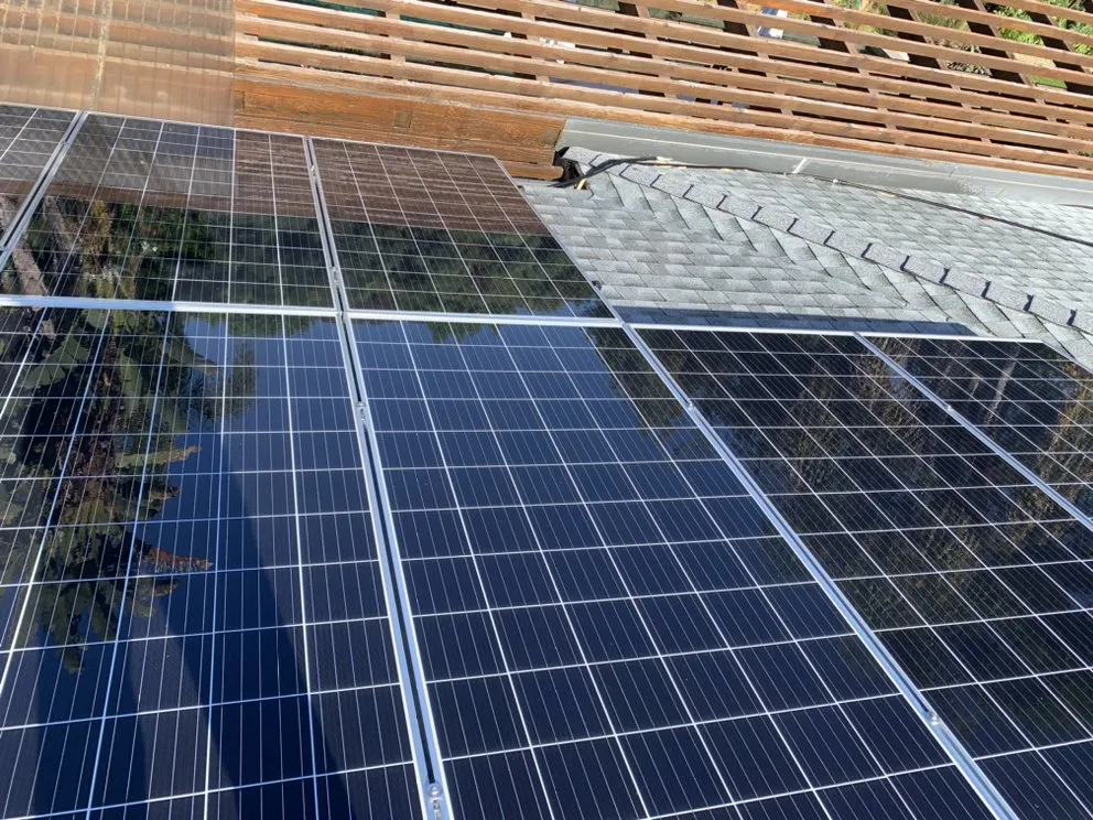 Local garden landscaping experts serving San Fernando, CA - Loyal To The Soil