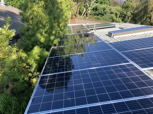 Loyal To The Soil Logo