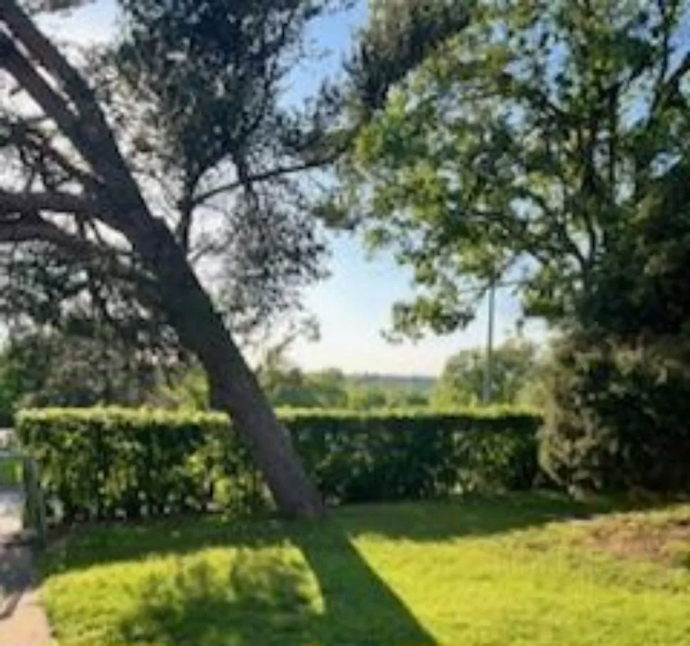 Top-rated yard cleanup service in Kansas City, MO - Loyalte3