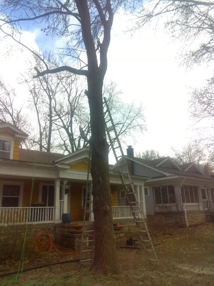 Affordable landscape design experts serving Kansas City, MO - Loyalte3