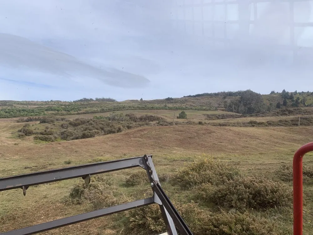 Trusted lawn mowing service experts serving Makawao, HI - Loyalty Construction