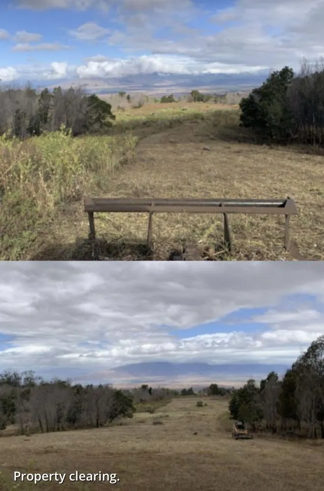 Custom lawn care service for beautiful yards in Makawao, HI by Loyalty Construction