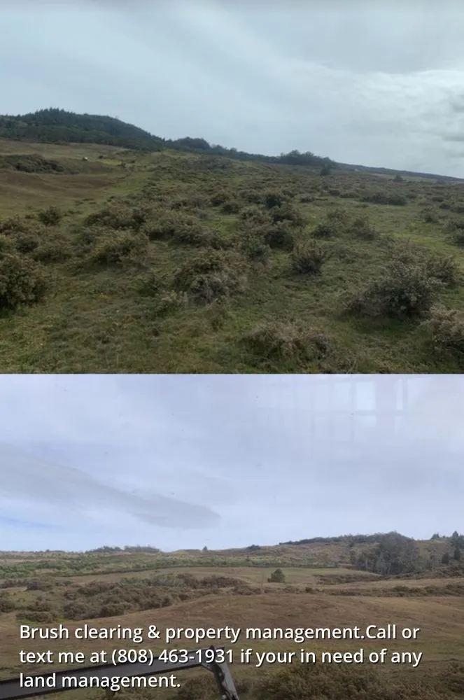 Local yard maintenance experts serving Makawao, HI - Loyalty Construction