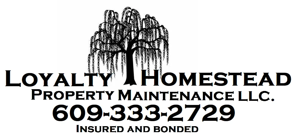 Affordable yard cleanup service for outdoor upgrades in Pilesgrove, NJ by Loyalty Homestead Property Maintenance