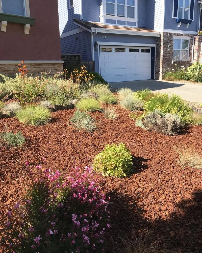 Affordable yard maintenance for outdoor upgrades across Petaluma, CA - Loyalty Landscaping