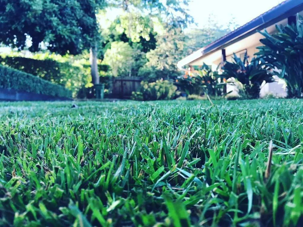 Top-rated landscaping services in Petaluma, CA by Loyalty Landscaping