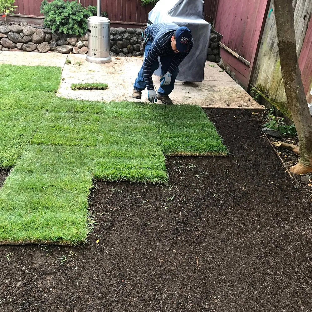 Professional landscape design for homes across Petaluma, CA - Loyalty Landscaping