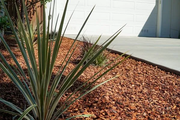 Loyalty Landscaping Logo