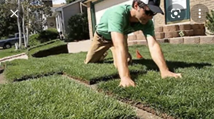 Expert landscape installation for beautiful yards across Lantana, FL - Loyalty Lane Landscaping