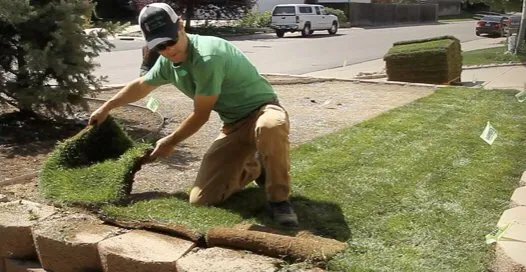 Top-rated garden landscaping for residential properties in Lantana, FL by Loyalty Lane Landscaping