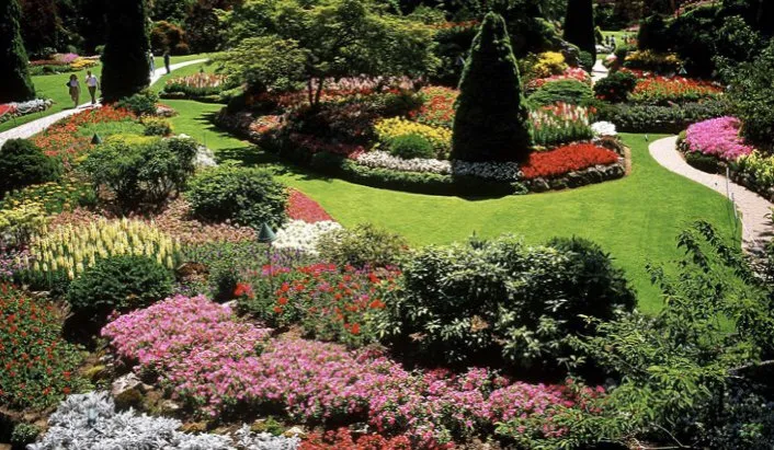 Top-rated yard maintenance experts serving Lantana, FL - Loyalty Lane Landscaping