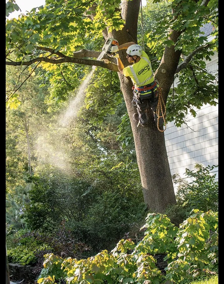 Affordable landscaping services in Lantana, FL - Loyalty Lane Landscaping