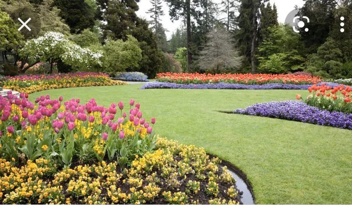 Local lawn care service in Lantana, FL - Loyalty Lane Landscaping