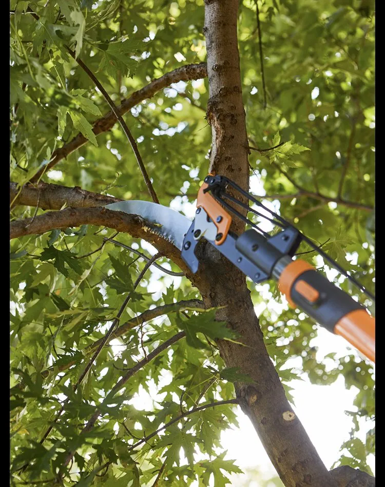 Top-rated landscaping services in Lantana, FL - Loyalty Lane Landscaping