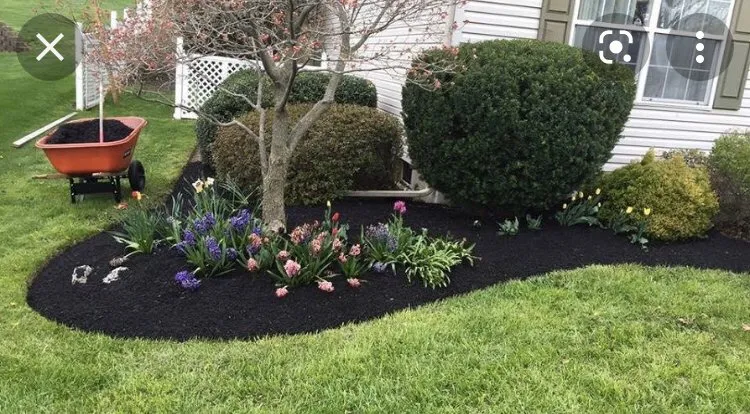 Local lawn care service in Lantana, FL - Loyalty Lane Landscaping