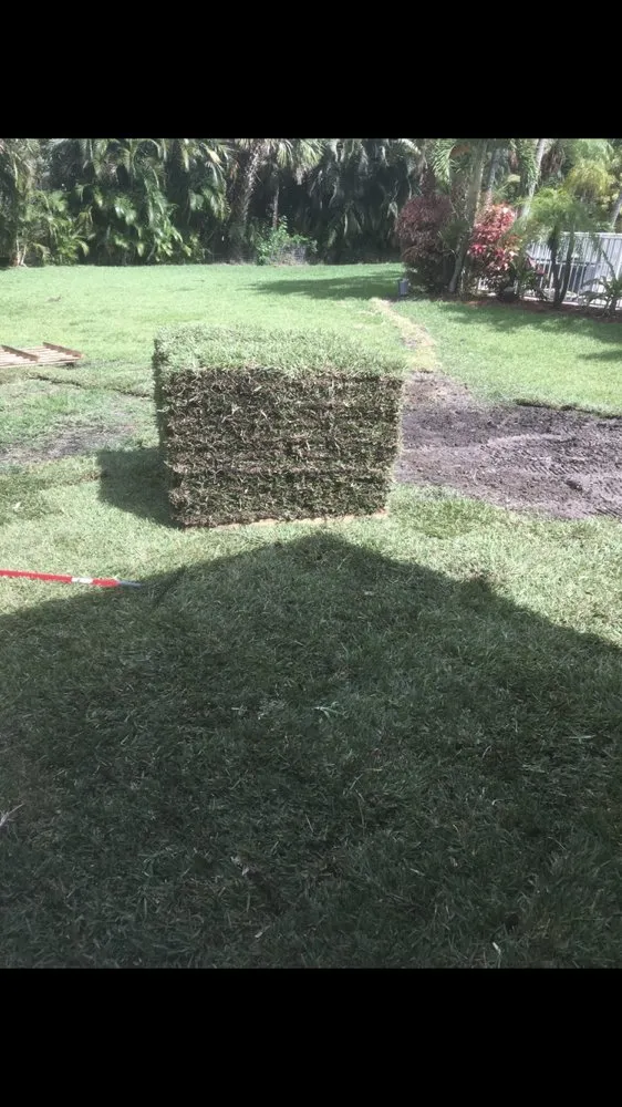 Local yard cleanup service in Lantana, FL - Loyalty Lane Landscaping
