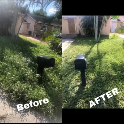 Loyalty Lane Landscaping Logo