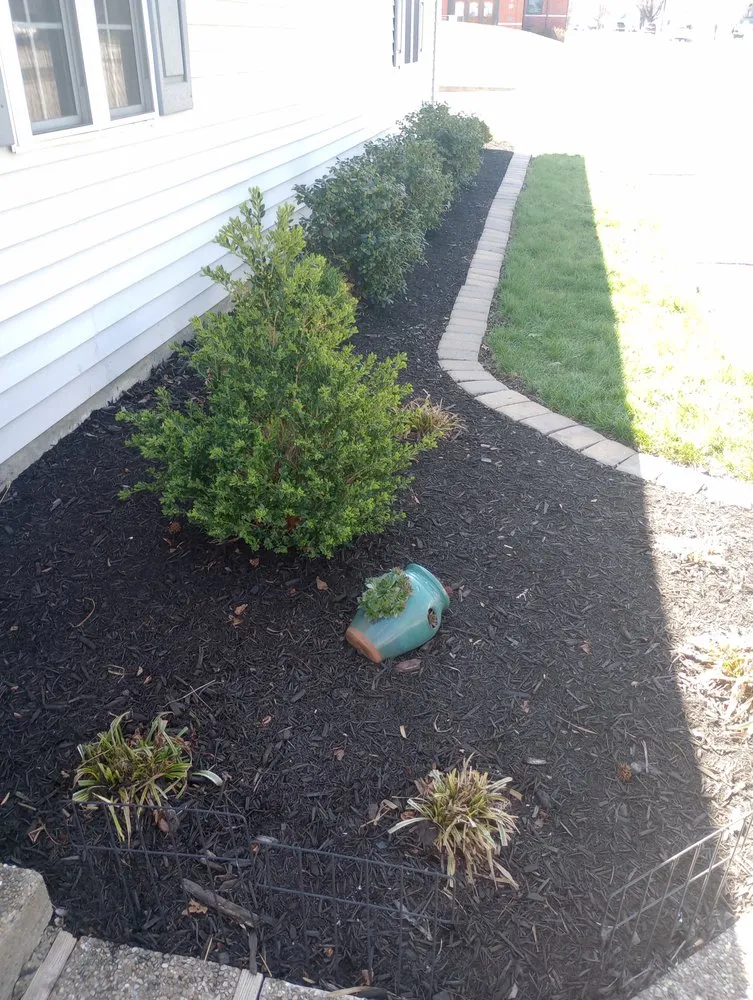 Expert yard cleanup service near you across Bedford, IN - Loyalty Lawn & Maintenance