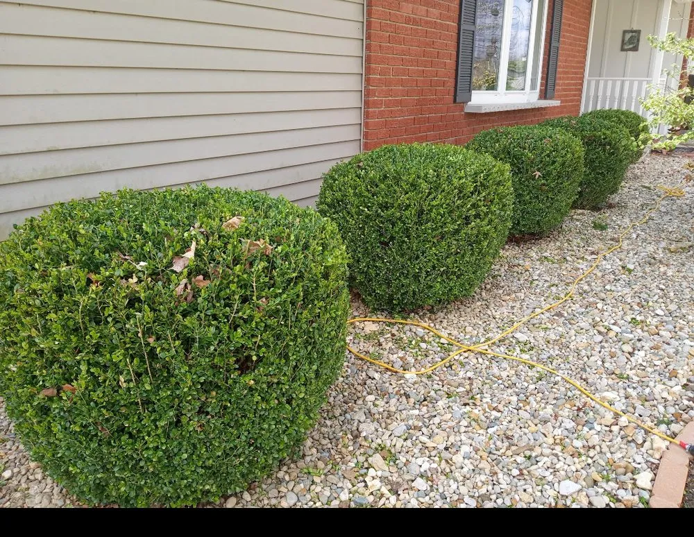 Professional yard maintenance near you across Bedford, IN - Loyalty Lawn & Maintenance