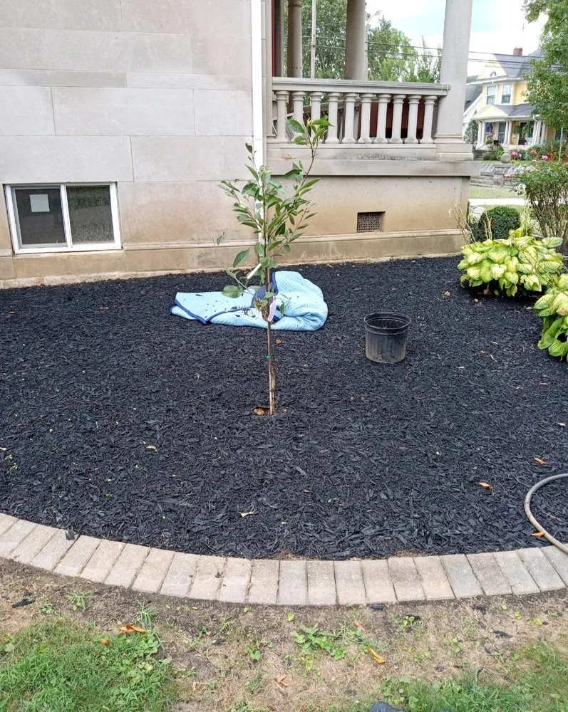 Trusted residential landscaping for year-round maintenance across Bedford, IN - Loyalty Lawn & Maintenance