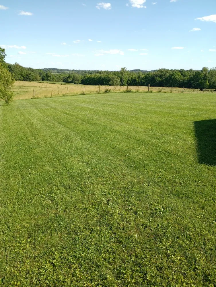 Expert landscape design for beautiful yards in Bedford, IN by Loyalty Lawn & Maintenance