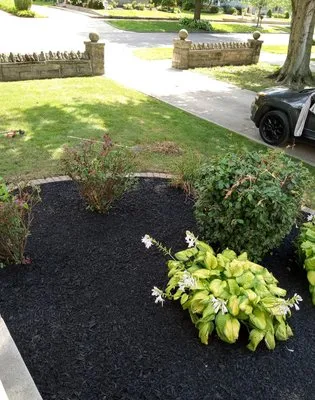 Loyalty Lawn & Maintenance Logo