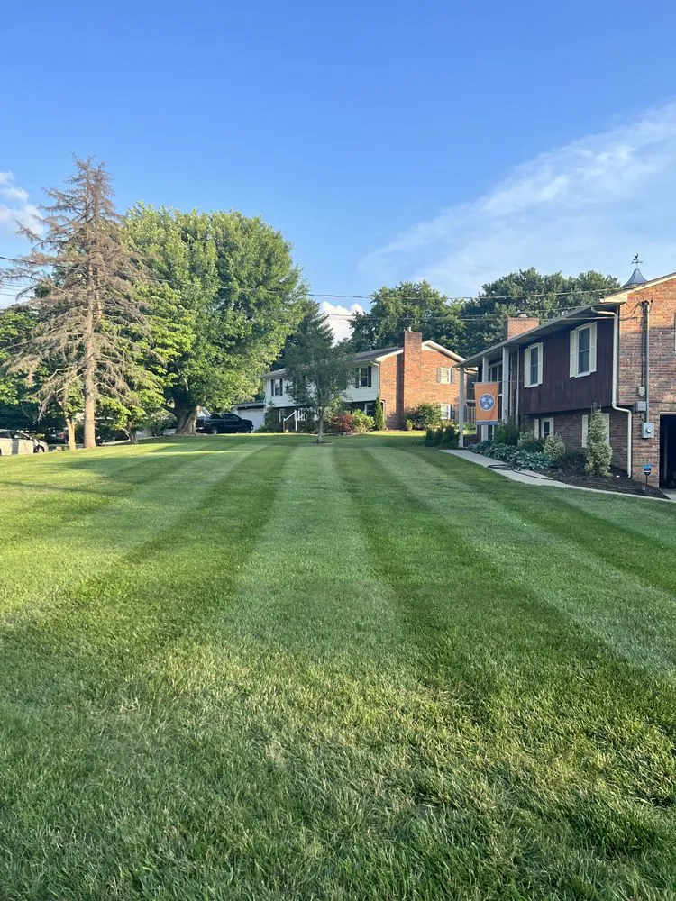 Local lawn mowing service in Johnson City, TN by Loyalty Lawn Care