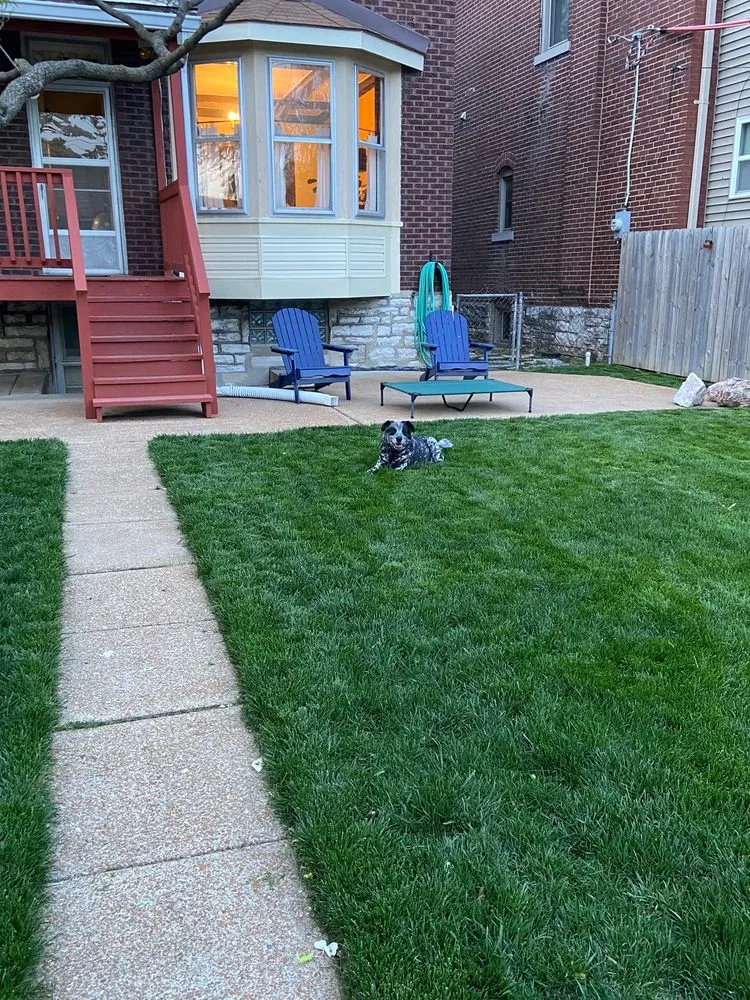 Trusted residential landscaping in Saint Charles, MO by Loyalty Lawn Care
