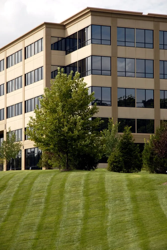 Reliable yard cleanup service experts serving Saint Charles, MO - Loyalty Lawn Care