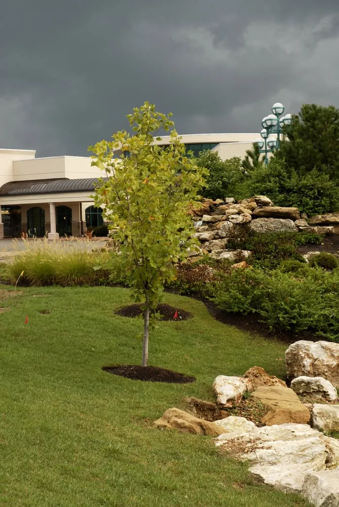 Professional landscape installation for residential properties across Saint Charles, MO - Loyalty Lawn Care