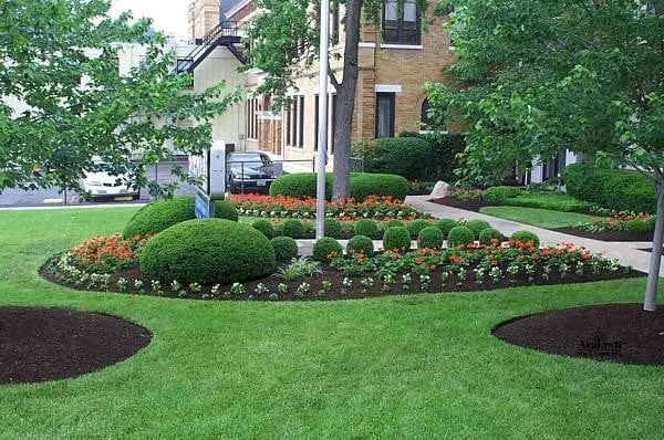 Reliable landscaping services experts serving Saint Charles, MO - Loyalty Lawn Care