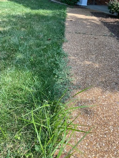 Top-rated outdoor landscaping for residential properties in Saint Charles, MO by Loyalty Lawn Care