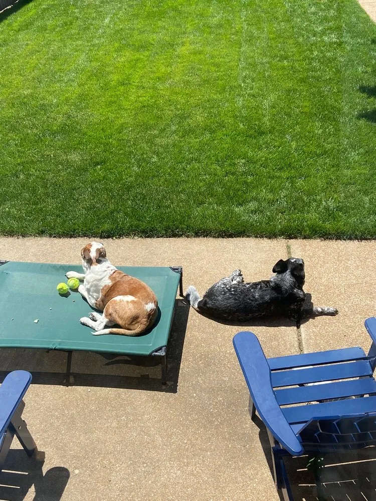 Local residential landscaping with custom design in Saint Charles, MO by Loyalty Lawn Care