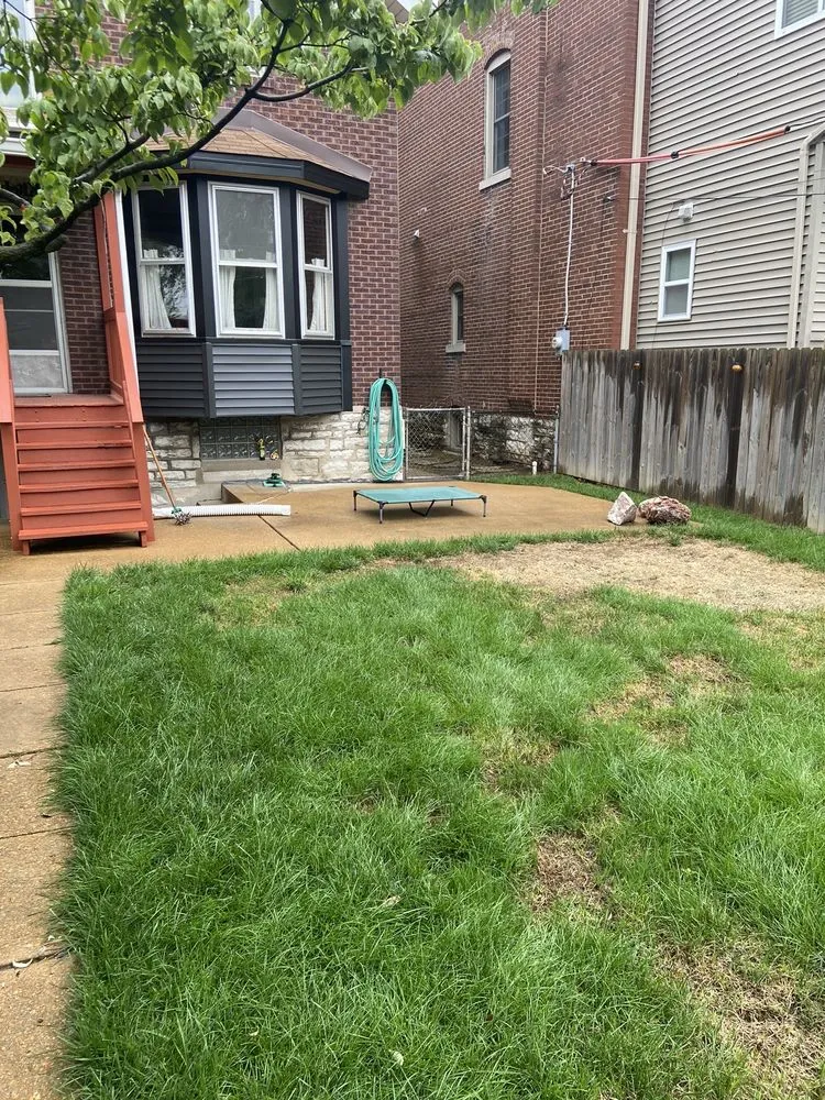 Professional yard cleanup service with custom design in Saint Charles, MO by Loyalty Lawn Care