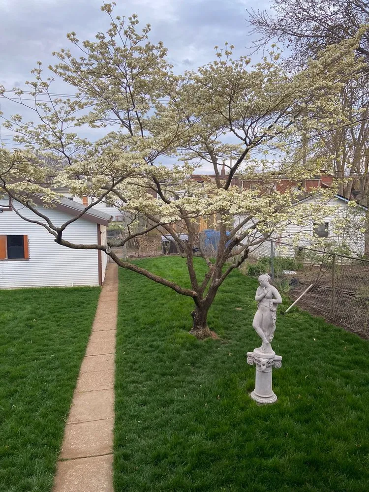 Trusted garden landscaping experts serving Saint Charles, MO - Loyalty Lawn Care