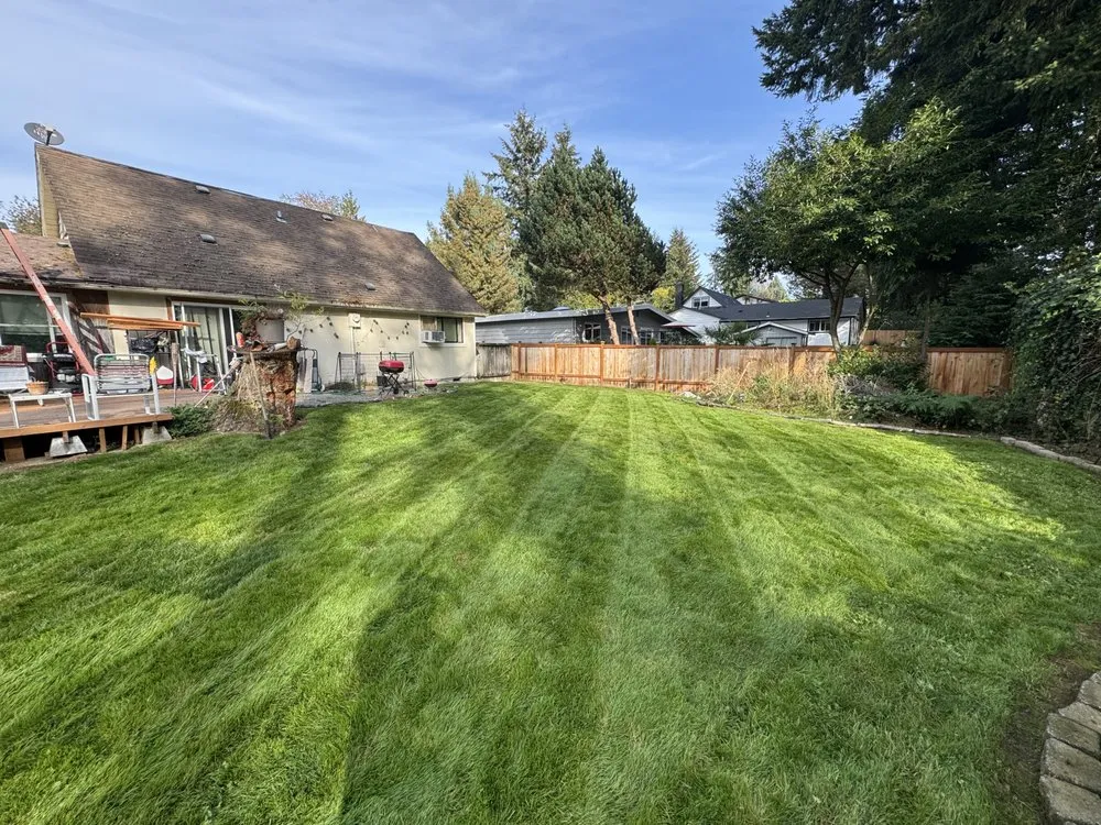 Expert outdoor landscaping in Kirkland, WA - Loyalty Lawn Leaf