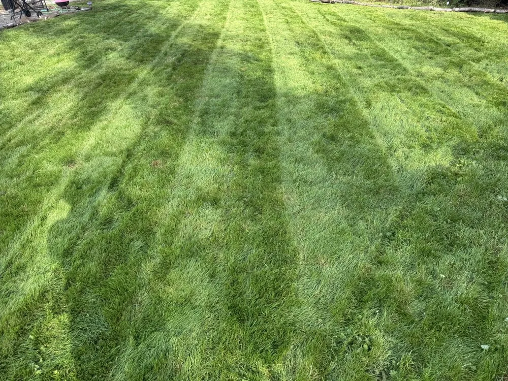 Local landscaping services for residential properties in Kirkland, WA by Loyalty Lawn Leaf