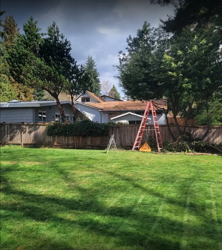 Reliable residential landscaping near you across Kirkland, WA - Loyalty Lawn Leaf