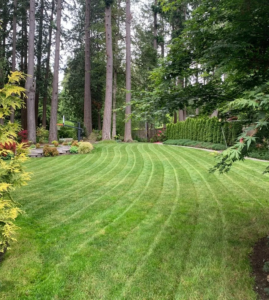 Reliable residential landscaping in Poulsbo, WA by Loyalty Lawn Mowing