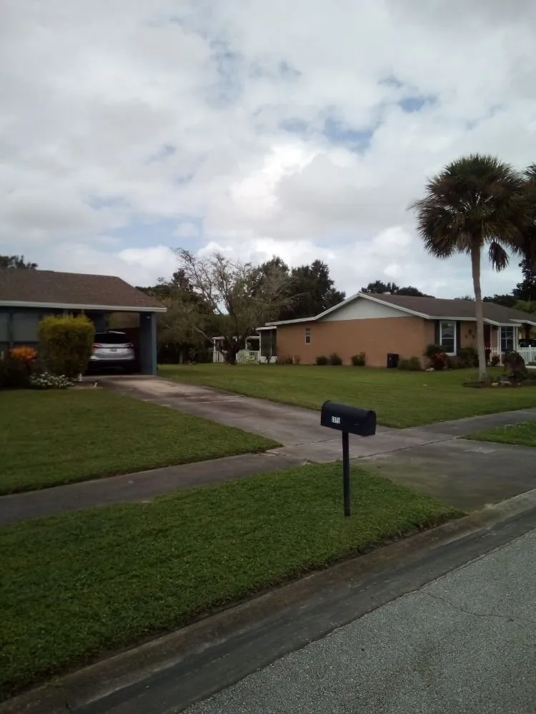 Top-rated lawn care service experts serving Palm Bay, FL - Loyalty Lawn Service And Home Care