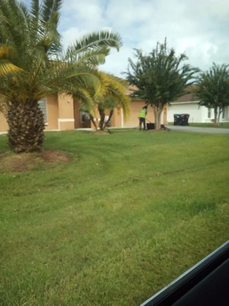 Professional lawn mowing service experts serving Palm Bay, FL - Loyalty Lawn Service And Home Care