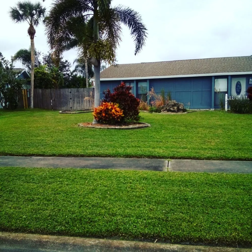 Expert lawn care service experts serving Palm Bay, FL - Loyalty Lawn Service And Home Care
