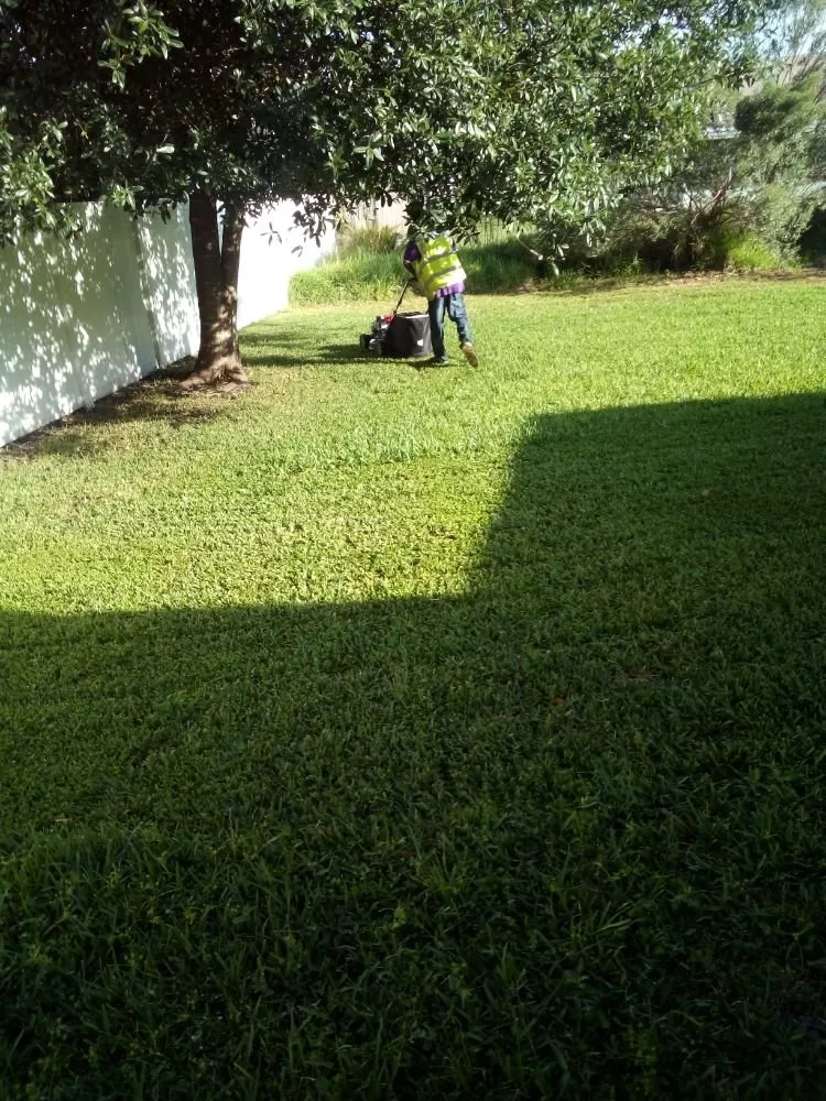 Affordable outdoor landscaping experts serving Palm Bay, FL - Loyalty Lawn Service And Home Care