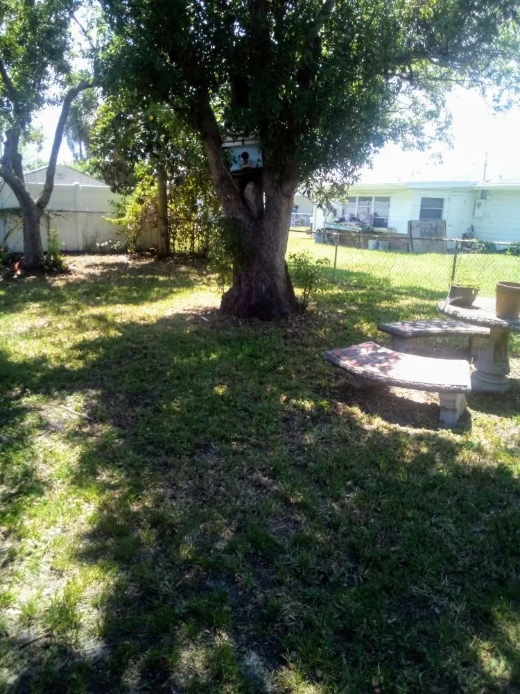 Professional landscape installation in Palm Bay, FL by Loyalty Lawn Service And Home Care