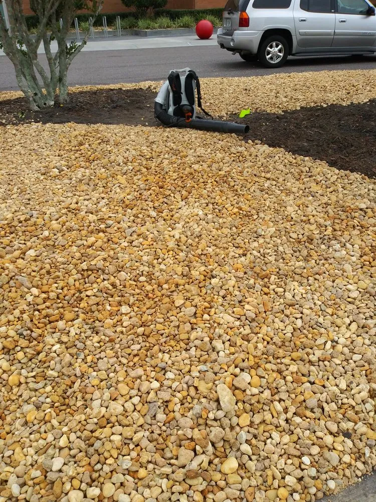 Local yard maintenance in Palm Bay, FL - Loyalty Lawn Service And Home Care