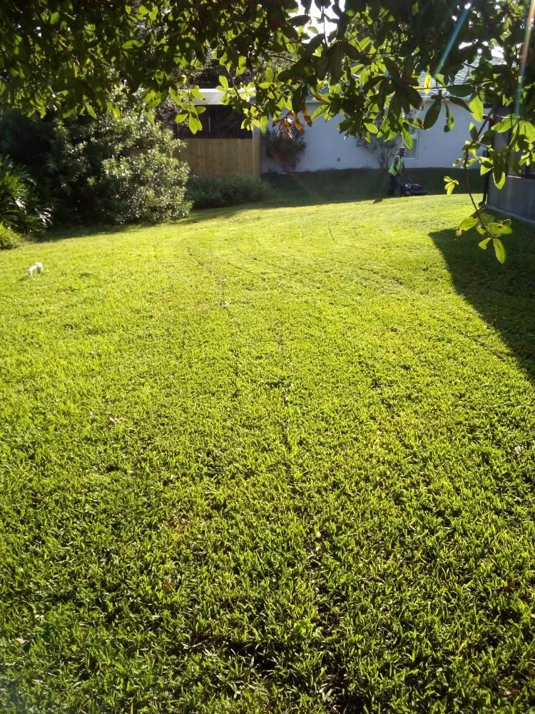 Custom outdoor landscaping in Palm Bay, FL - Loyalty Lawn Service And Home Care