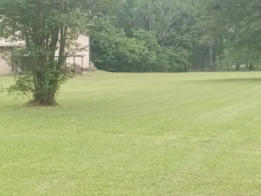 Expert lawn care service in Spearsville, LA by Loyd Boyz Lawn Sevice