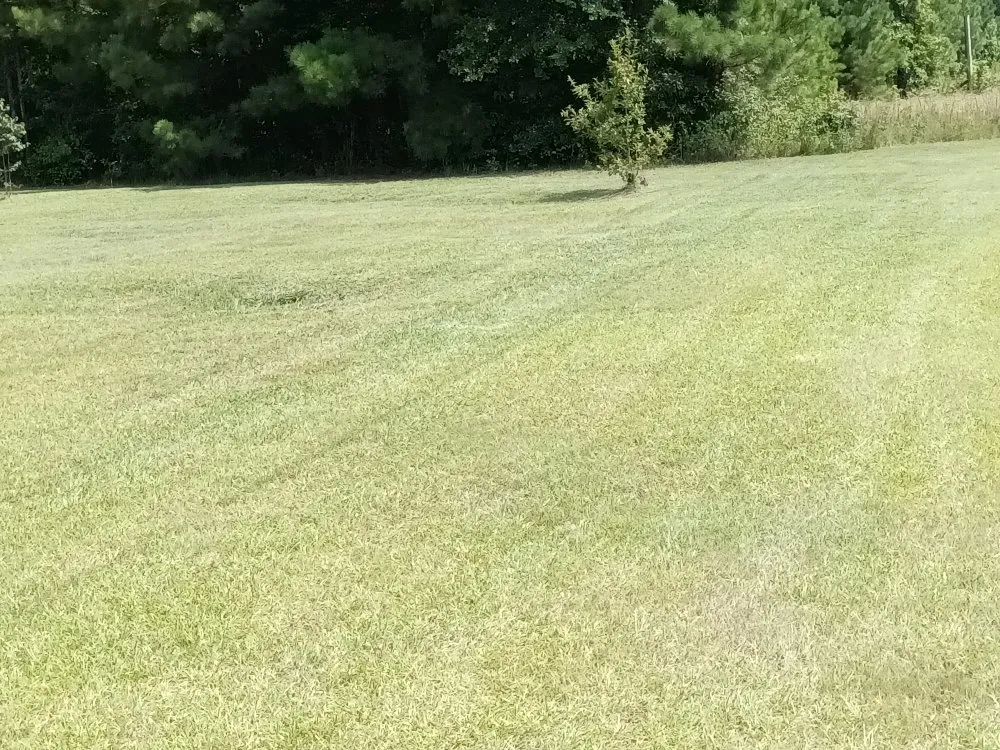 Expert residential landscaping for homes across Spearsville, LA - Loyd Boyz Lawn Sevice